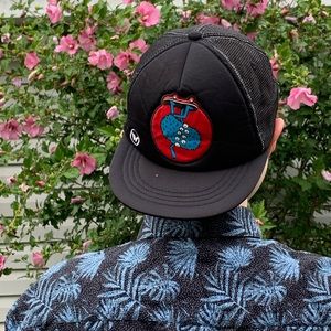 Shawn White Skater Hat